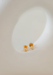 A Topo 6 Puntos Cristal