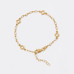 P Clover Silueta + Extensor