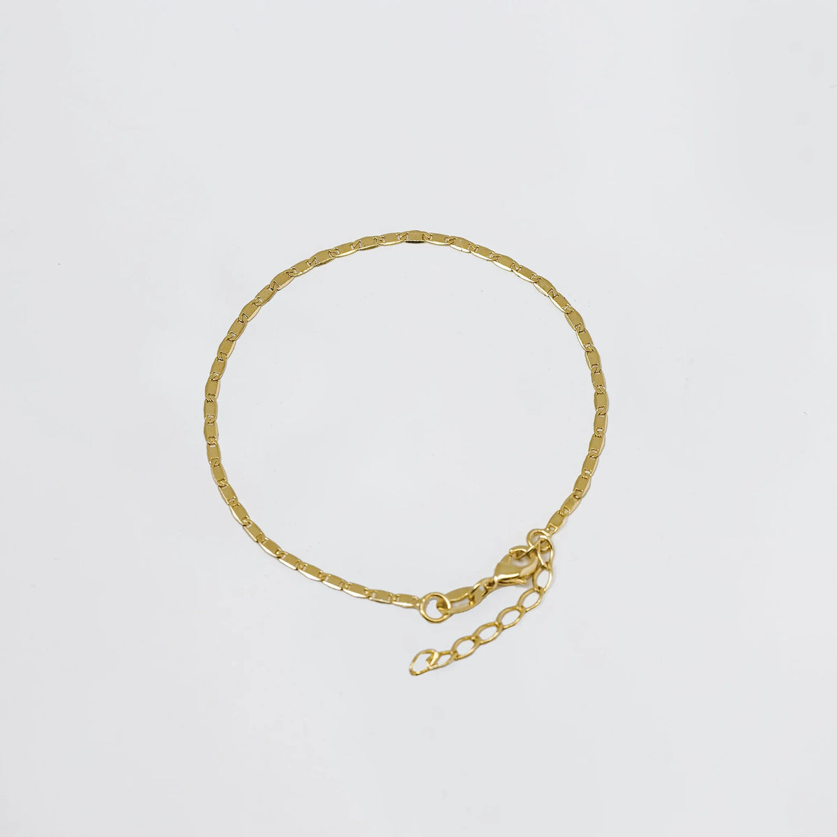 P Escalera Delg. Plana Lisa 16 Cms + Extensor